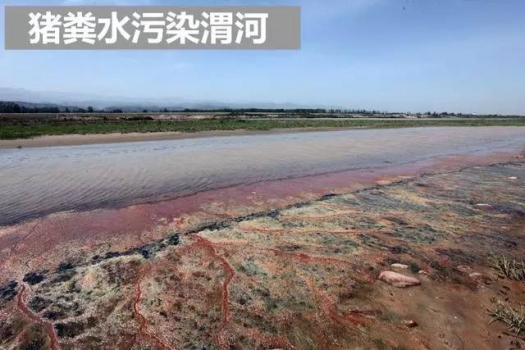 “十三五”規(guī)劃惠民政策來了！養(yǎng)殖戶可領(lǐng)補(bǔ)貼!