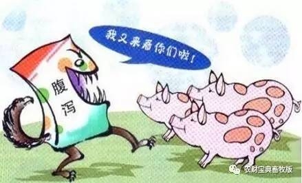 今年腹瀉依然席卷全國？這些豬場告訴你如何做到防患于未然！