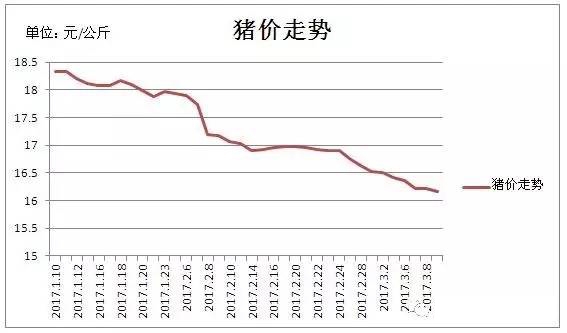 仔豬生豬價(jià)格差價(jià)大，你還敢養(yǎng)豬嗎?