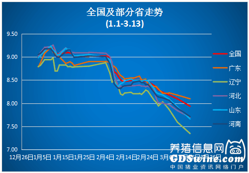 豬價跌破8元 3月還有上漲機會嗎？