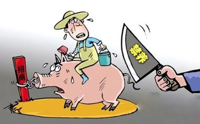 李克強總理簽署第676號國務院令 這些地方不能養(yǎng)豬