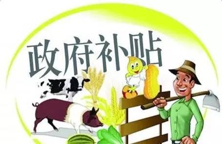 申報養(yǎng)豬補貼不成功？這些“潛規(guī)則”一般人都不懂