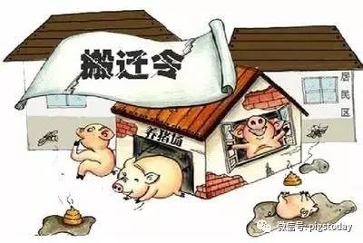 豬場(chǎng)拆遷和儲(chǔ)備凍肉會(huì)影響生豬價(jià)格？