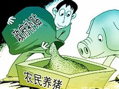農(nóng)村曉得養(yǎng)豬補貼的少就算了，中小養(yǎng)殖戶還沾不上邊？！