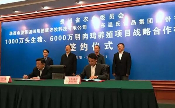 華西希望集團(tuán)、溫氏集團(tuán)與貴州簽約1000萬頭肉豬6000萬羽肉雞養(yǎng)殖項目