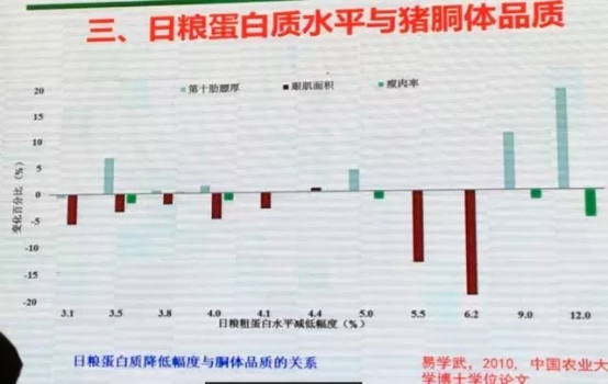 喬-4.webp.jpg