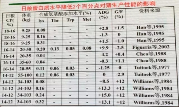 喬1.webp.jpg