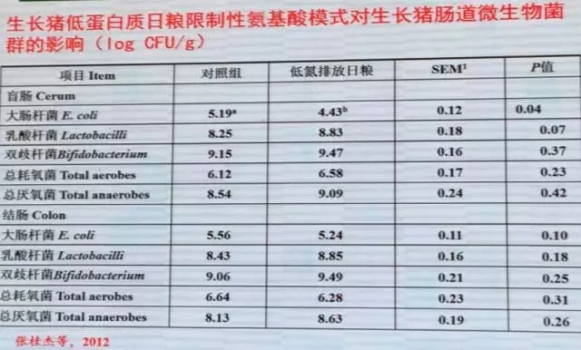 喬-5.webp.jpg