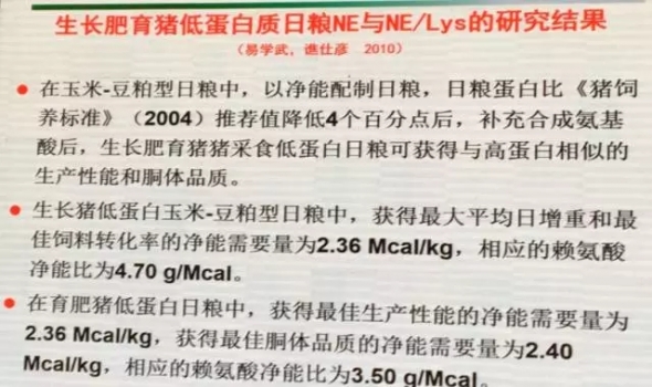 喬-6.webp.jpg