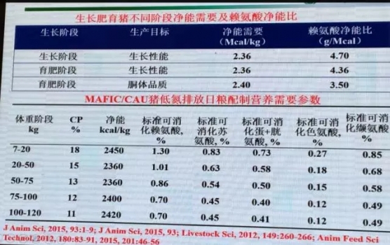 喬-7.webp.jpg