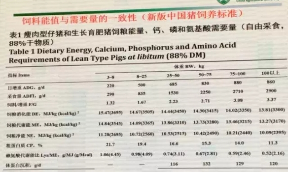 喬-8.webp.jpg