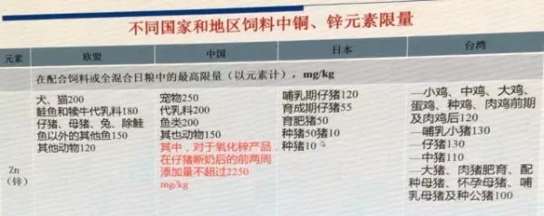 28.webp.jpg