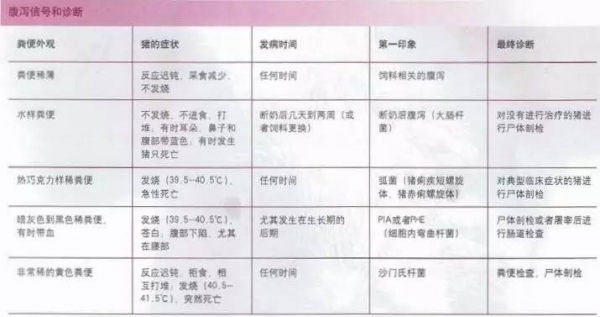 豬場(chǎng)養(yǎng)豬盲點(diǎn)？解析引起疾病的原因