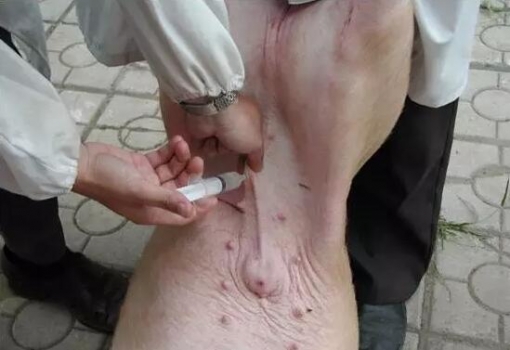 腹腔注射為什么治腹瀉效果好？怎樣操作？