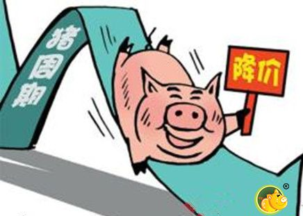 本輪豬周期或?qū)⒔咏猜?機構(gòu)預計全年豬價下行