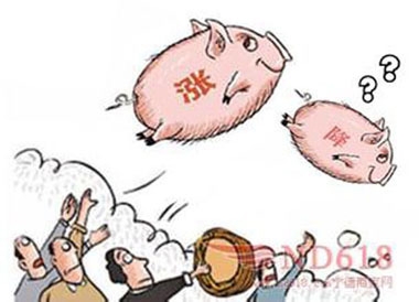 禁養(yǎng)區(qū)跟豬價有沒有關系，禁養(yǎng)區(qū)劃分了，豬價會漲嗎？