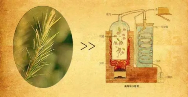 植物精油對(duì)飼料中霉菌抗菌效果的研究進(jìn)展