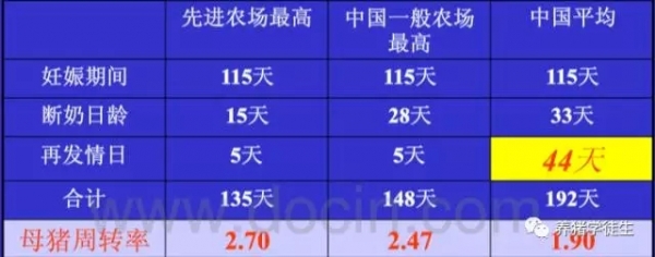 提高母豬斷奶后發(fā)情比例