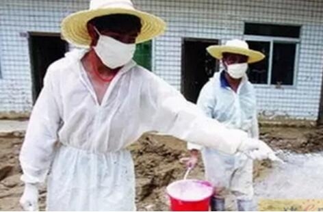養(yǎng)豬場如何正確使用石灰消毒？
