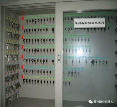 17.jpg