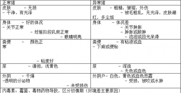 后備母豬健康檢查觀察要點(diǎn)