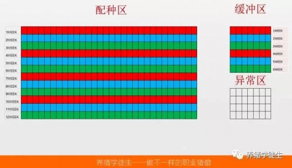 養(yǎng)豬技術吧：妊娠蛇形（2）