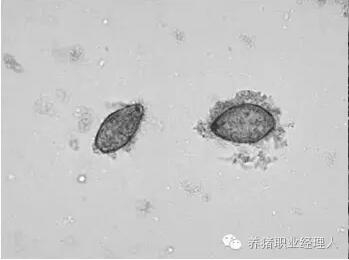 必修課 | 超全面的保育管理制度（2）