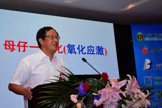 印遇龍?jiān)菏浚耗缸胸i一體化的系統(tǒng)研究（氧化應(yīng)激）