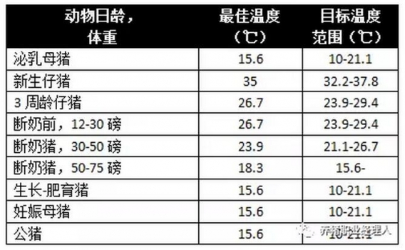 夏季如何降低豬的熱應(yīng)激