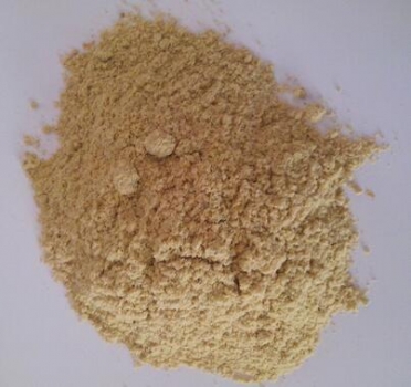 無論采食量高低，妊娠母豬對(duì)全脂米糠和脫脂米糠的能量消化率高于后備母豬
