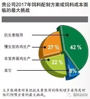 2017全球營養(yǎng)與飼料大調查：無抗飼料已大勢所趨