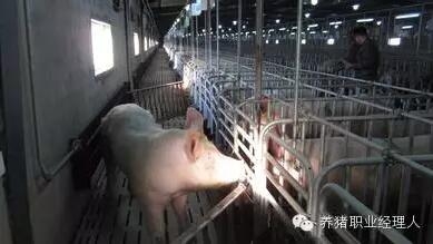 必修課 | 返情檢查時(shí)應(yīng)考慮到的因素（值得收藏）
