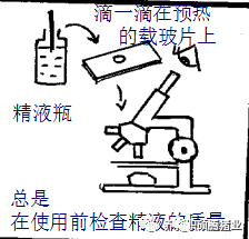 哪些因素會(huì)影響豬精液保存的質(zhì)量？