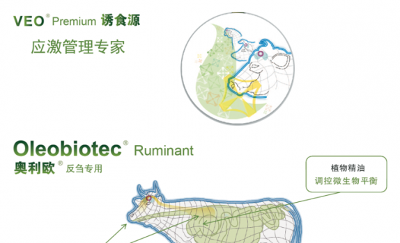 法國(guó)馥蒂微信文章_07.png