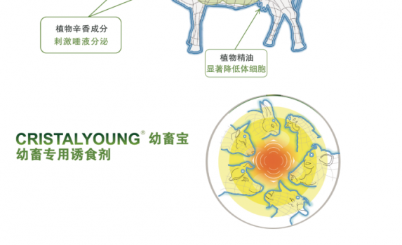 法國(guó)馥蒂微信文章_08.png