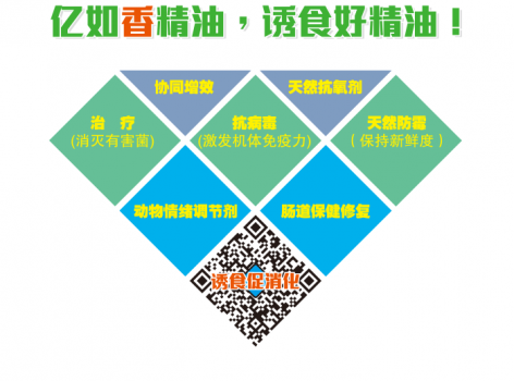 【聚焦精油】?jī)|如：堅(jiān)持為行業(yè)提供用得起、用得好的精油產(chǎn)品