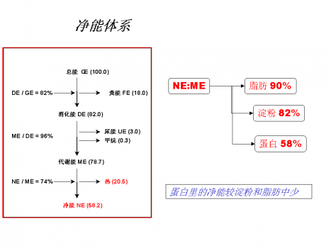 幻燈片25.PNG