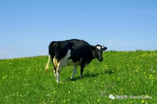 14.webp.jpg