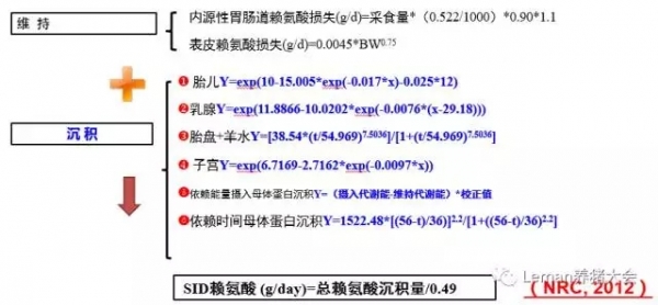 6.webp.jpg