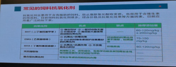 抗氧化劑1.png