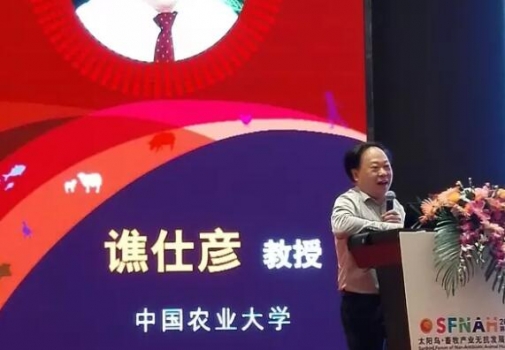 譙仕彥：豬功能性氨基酸營(yíng)養(yǎng)研究進(jìn)展