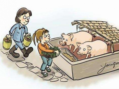 專家：征收環(huán)保稅的同時(shí)應(yīng)對(duì)養(yǎng)殖業(yè)給予補(bǔ)貼
