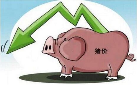 今日豬價分析：豬價、肉價均現(xiàn)不同幅度下跌