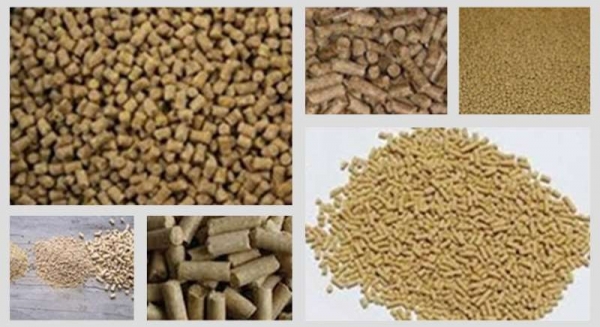 如何生產(chǎn)高品質(zhì)顆粒飼料