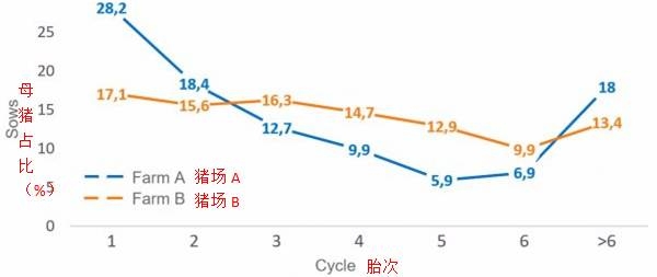 如何減少后備母豬更新率、維持較好的胎齡結(jié)構(gòu)？
