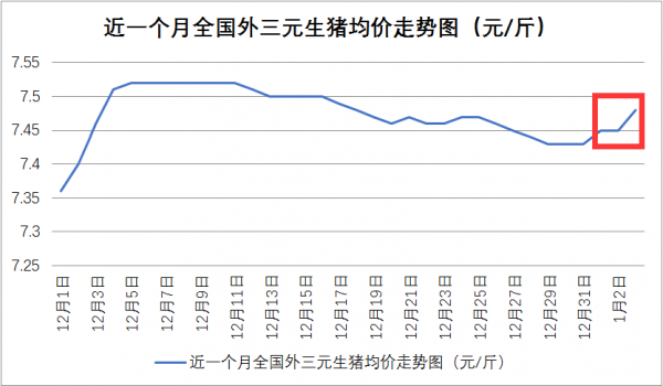 漲了！漲了！15省豬價全線飄紅，但這2點不注意漲價也白搭....