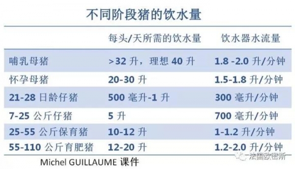 技術(shù)控 | 如何增加哺乳母豬的飲水量？