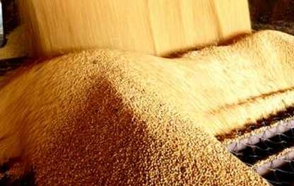 微生物發(fā)酵飼料及其應用