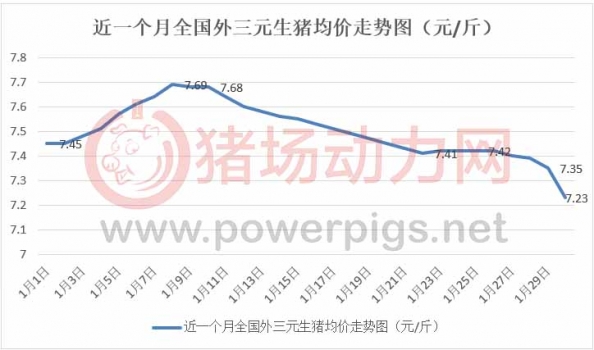 豬價跌瘋了！別急，2月仍有上漲機(jī)會.....