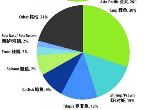 2017年全球飼料產(chǎn)量達(dá)到10.7億噸，同比增長2.57%